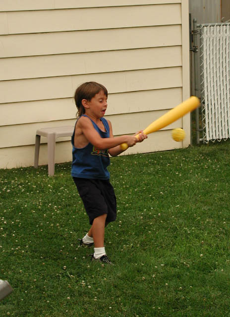 P7060037a