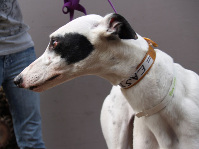 P2280138_Penny
