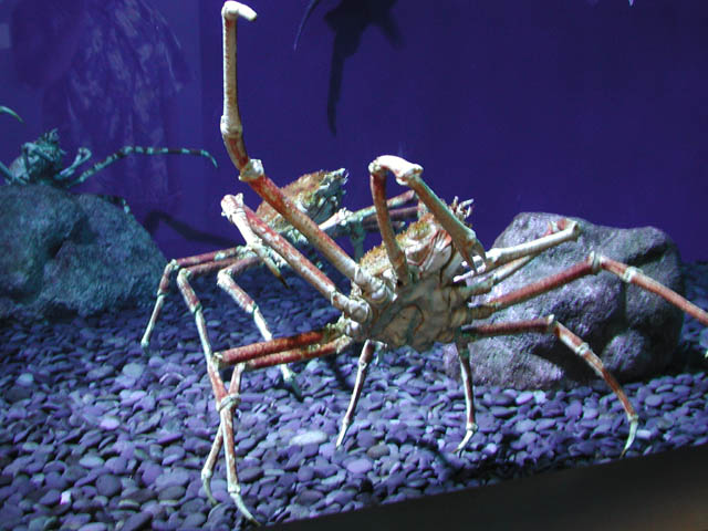 P1010163